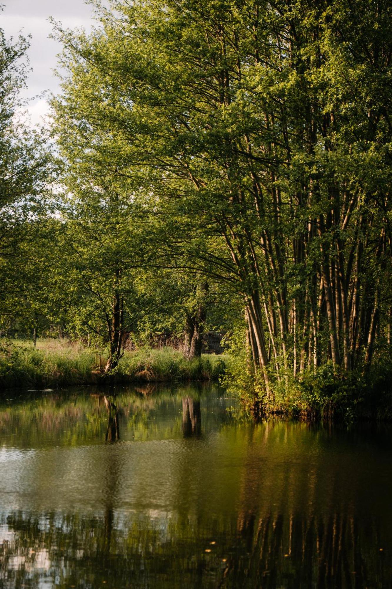 Palac Srodka Chrzypsko Wielkie Luaran gambar