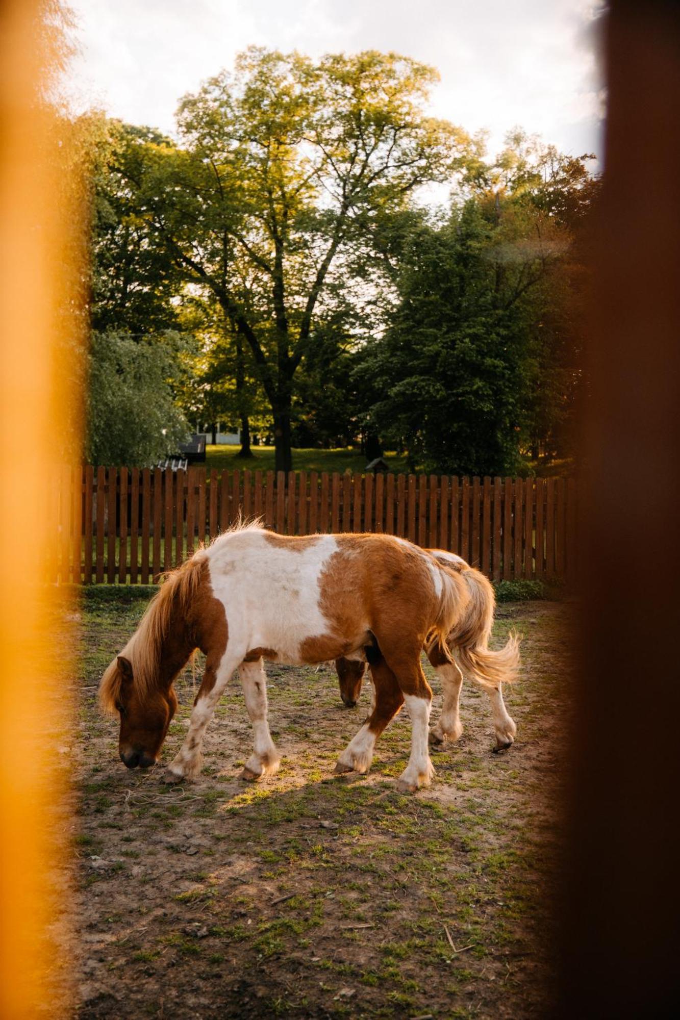 Palac Srodka Chrzypsko Wielkie Luaran gambar